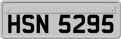 HSN5295