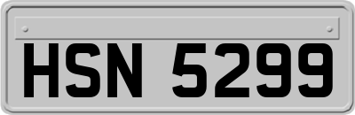 HSN5299