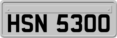 HSN5300