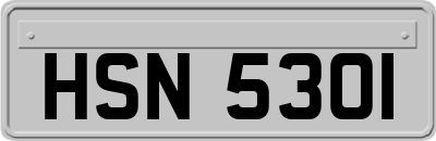 HSN5301