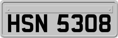 HSN5308
