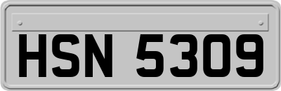 HSN5309