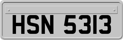 HSN5313