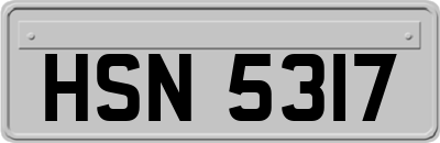 HSN5317