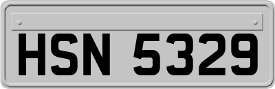 HSN5329