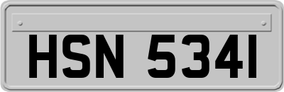 HSN5341