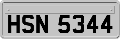 HSN5344