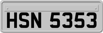 HSN5353