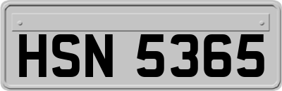 HSN5365