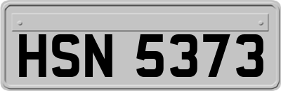HSN5373