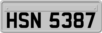 HSN5387
