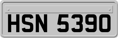 HSN5390