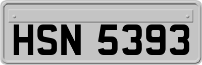 HSN5393