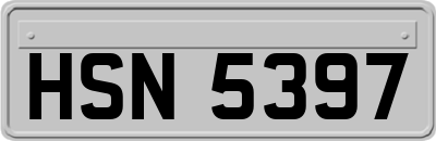 HSN5397
