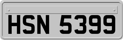 HSN5399