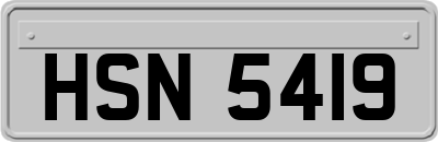 HSN5419