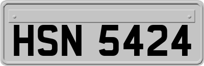 HSN5424