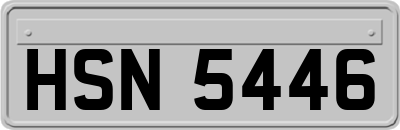 HSN5446