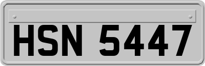 HSN5447