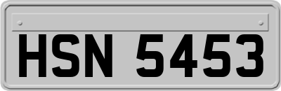 HSN5453