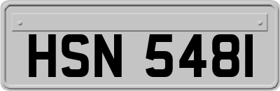 HSN5481