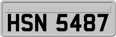 HSN5487