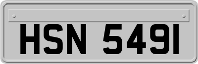 HSN5491