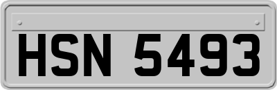 HSN5493