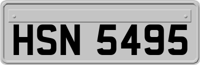 HSN5495