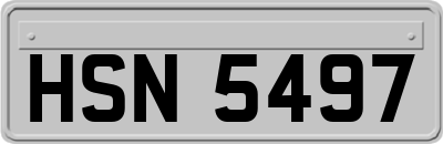 HSN5497