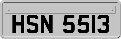 HSN5513