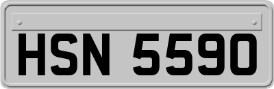 HSN5590