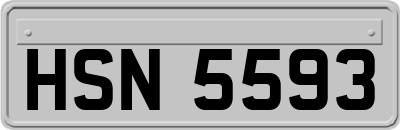 HSN5593
