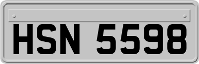 HSN5598