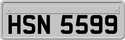 HSN5599