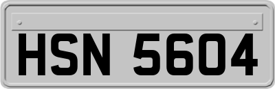 HSN5604