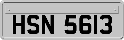 HSN5613