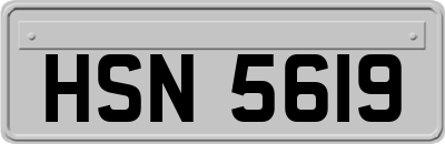 HSN5619