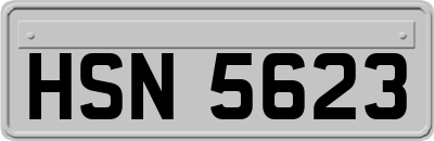 HSN5623