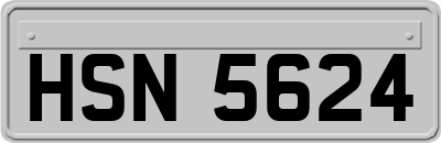 HSN5624
