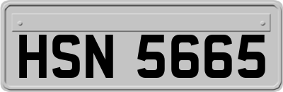 HSN5665