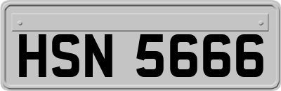 HSN5666
