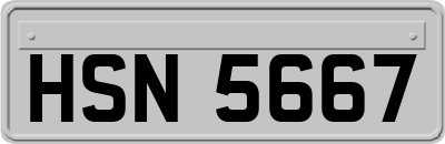 HSN5667