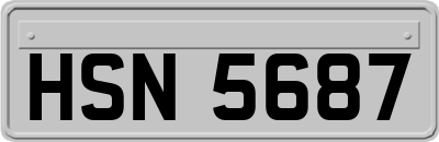 HSN5687