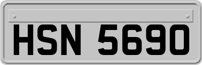 HSN5690
