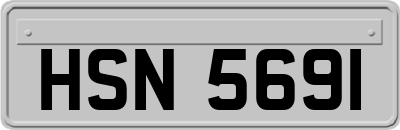 HSN5691