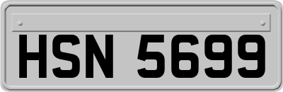HSN5699