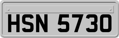 HSN5730