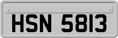 HSN5813
