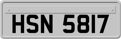 HSN5817